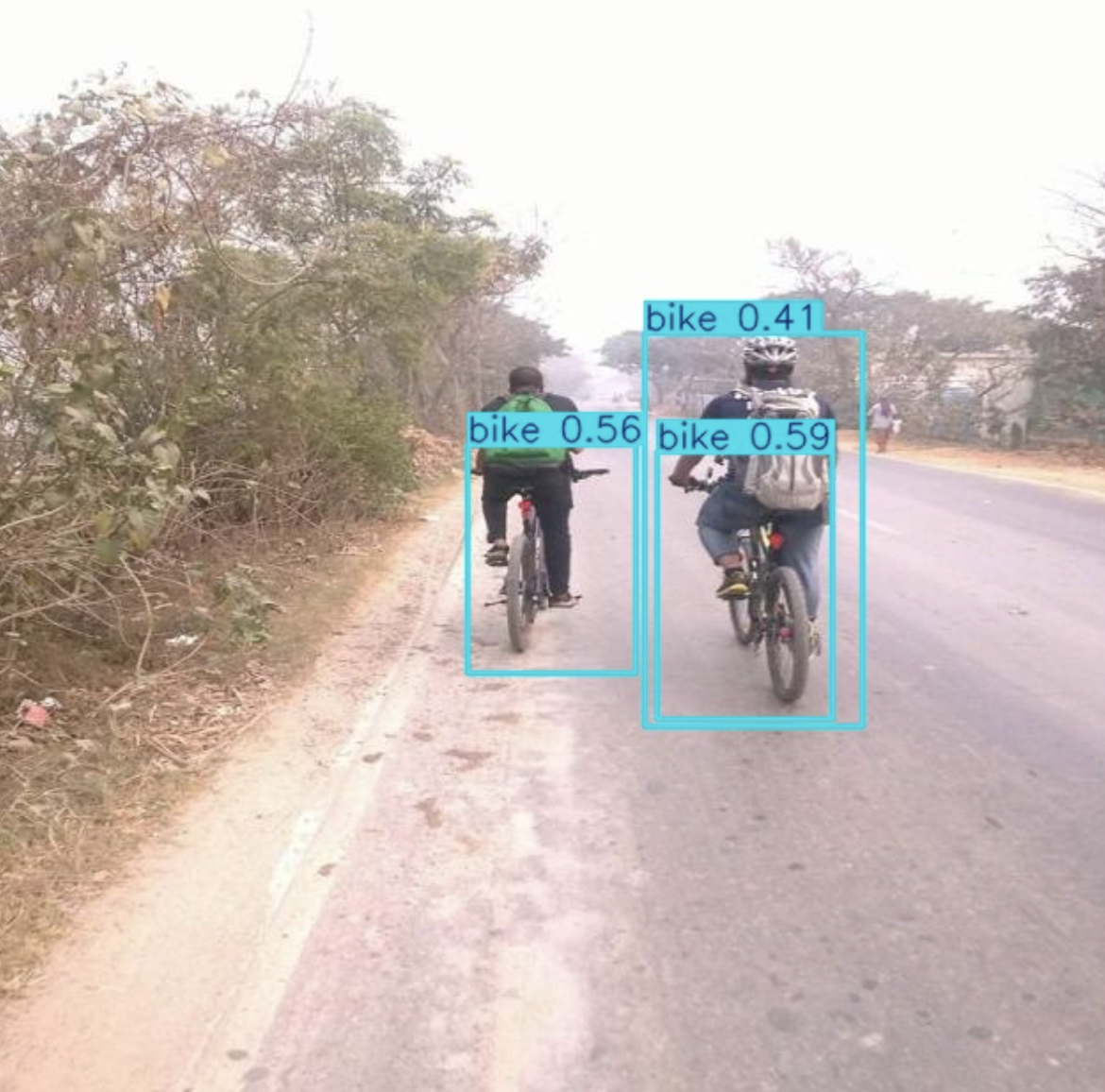 Correct detections