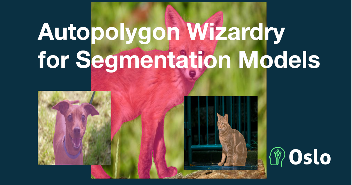 Introducing Autopolygon With SAM2